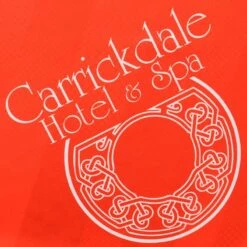 Armagh LGFA Unisex Home Jersey -underwear Zone armagh lgfa jersey p4 2