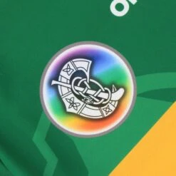 Kerry Camogie Home Jersey 2022 -underwear Zone camogie kerry home jersey 22 wmns 3