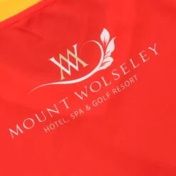 Carlow GAA Baby Home Jersey 2022 -underwear Zone carlow home reg fit jersey 22 6 1