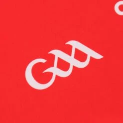 Derry GAA Baby Away Jersey 2022 -underwear Zone derry alt jersey rf red wht 22 4 3