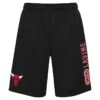 Men's Chicago Bulls Jump Ball Short Black