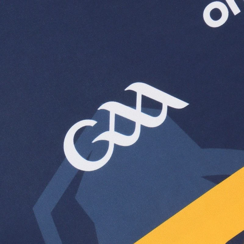 Kerry GAA Baby Goalkeeper Jersey 2022 5 Kerry GAA Baby Goalkeeper Jersey 2022 - Image 5