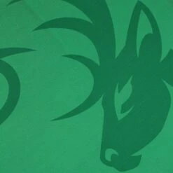 Kerry LGFA Home Jersey 2022 -underwear Zone kerry home jersey 2022 9 3 5