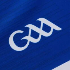 Laois GAA Baby Home Jersey 2023 16 Laois GAA Baby Home Jersey 2023 -underwear Zone laois home jersey 3s roy whi p9 1