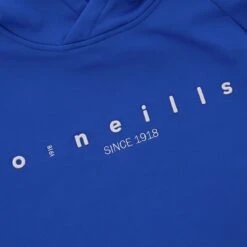 Men's Nathan Technical Fleece Overhead Hoodie Royal / Silver -underwear Zone nath 012 o gen rosvxx adlt p6