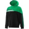 Kids' Nevis Fleece Overhead Hoodie Black / Green / White