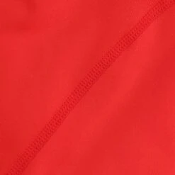 Men's Pro Body III Poly Elastane Shorts Red / Silver -underwear Zone pro body 053 poly elastane shorts red slv 6