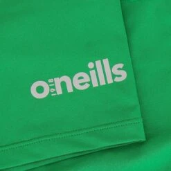 Men's Pro Body III Poly Elastane Shorts Green / Silver -underwear Zone pro body iii 53 poly elastane shorts grn slv 5