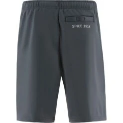 Men's Zack Technical Fleece Shorts Dark Grey -underwear Zone zack 295 0 gen dgxxxx adlt p3